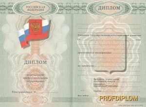Диплом лицея 2007-2009 Диплом лицея 2007-2009
