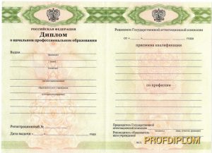 Диплом лицея с 2010 Диплом лицея с 2010