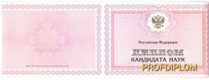Диплом кандидат наук 2010 Диплом кандидат наук 2010