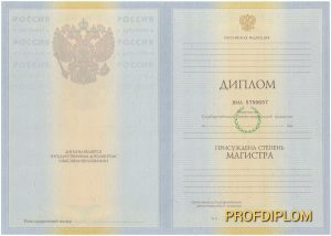 Диплом магистра 2009-2011