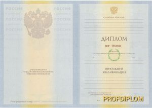 Диплом специалиста 2009-2011 Диплом специалиста 2009-2011